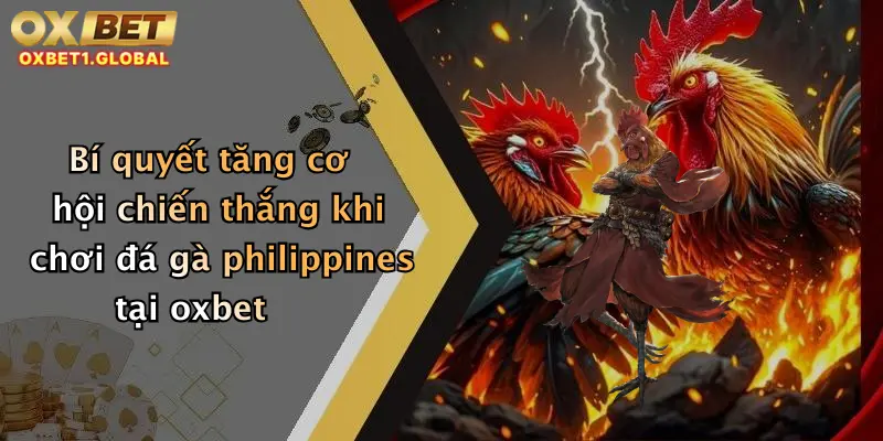 Đá Gà Philippines: Đặt Cược Hấp Dẫn, Thưởng Lớn Tại Oxbet Ngay Hôm Nay 3 Bí quyết tăng cơ hội chiến thắng khi chơi đá gà philippines tại oxbet