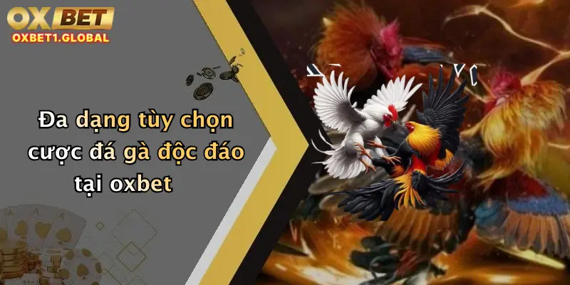 Đa dạng tùy chọn cược đá gà độc đáo tại oxbet