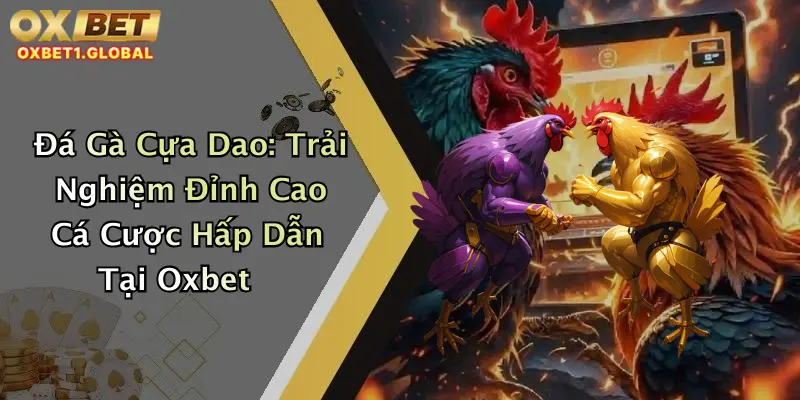 Đá Gà Cựa Dao: Trải Nghiệm Đỉnh Cao Cá Cược Hấp Dẫn Tại Oxbet 1 Đá Gà Cựa Dao: Trải Nghiệm Đỉnh Cao Cá Cược Hấp Dẫn Tại Oxbet