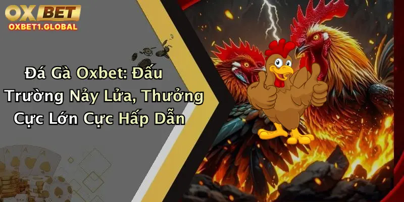 Đá Gà Oxbet: Đấu Trường Nảy Lửa, Thưởng Cực Lớn Cực Hấp Dẫn