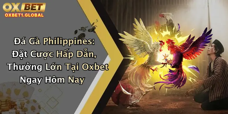 Đá Gà Philippines: Đặt Cược Hấp Dẫn, Thưởng Lớn Tại Oxbet Ngay Hôm Nay 4 Đá Gà Philippines: Đặt Cược Hấp Dẫn, Thưởng Lớn Tại Oxbet Ngay Hôm Nay
