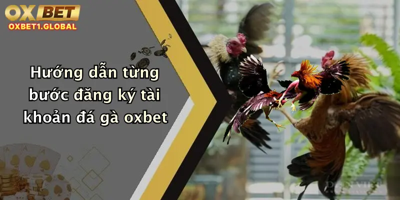 Hướng dẫn từng bước đăng ký tài khoản đá gà oxbet