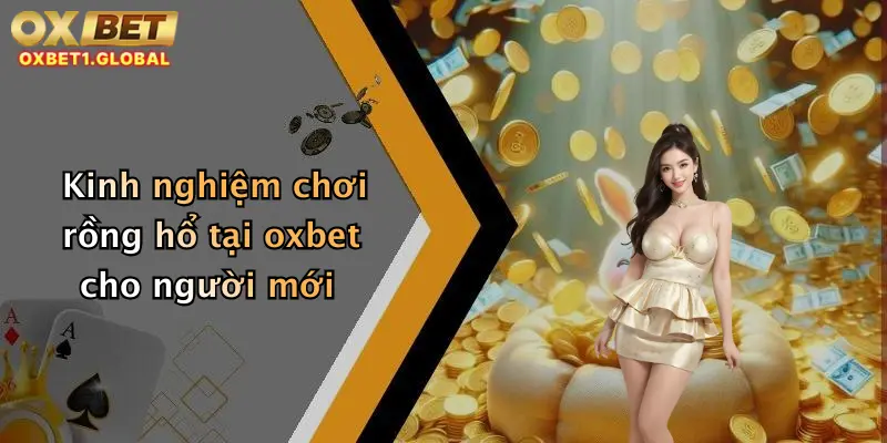 Kinh nghiệm chơi rồng hổ tại oxbet cho người mới