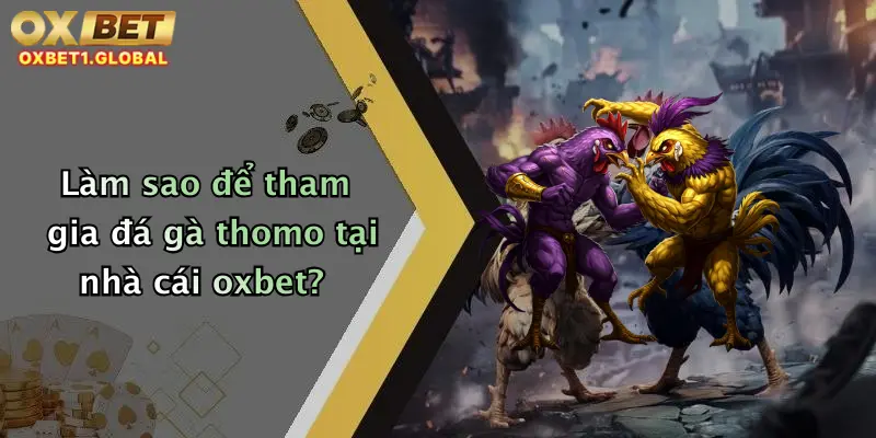 Làm sao để tham gia đá gà thomo tại nhà cái oxbet?