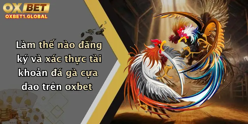 Làm thế nào đăng ký và xác thực tài khoản đá gà cựa dao trên oxbet
