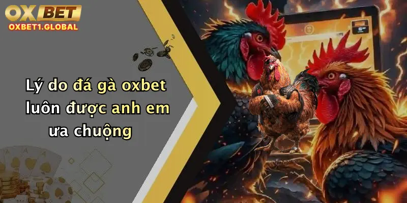 Lý do đá gà oxbet luôn được anh em ưa chuộng