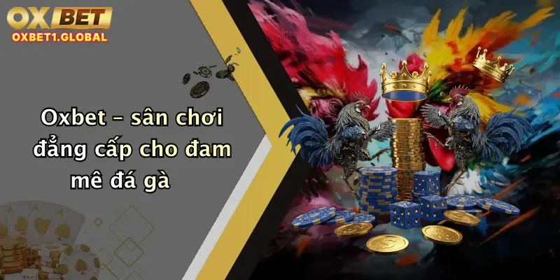 Oxbet – sân chơi đẳng cấp cho đam mê đá gà