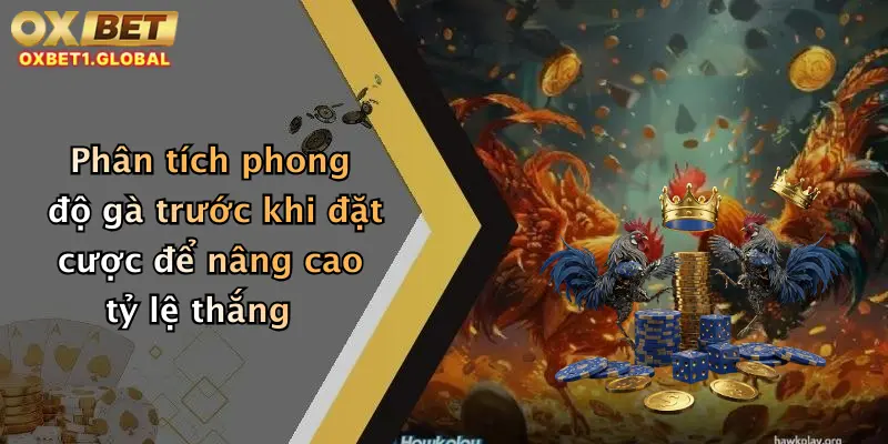 Đá Gà Philippines: Đặt Cược Hấp Dẫn, Thưởng Lớn Tại Oxbet Ngay Hôm Nay 4 Phân tích phong độ gà trước khi đặt cược để nâng cao tỷ lệ thắng